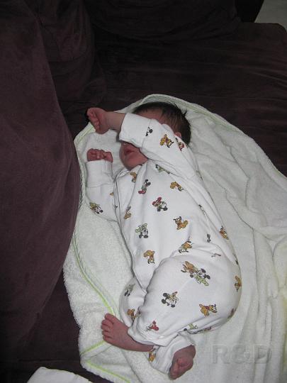 Yente 5 maart 2009 (9).JPG